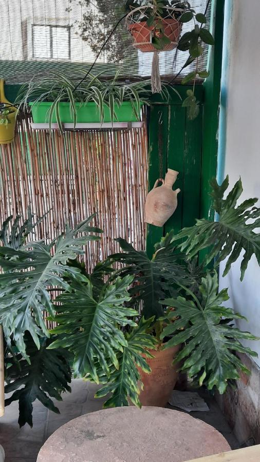 הבית הירוק - Green House Arad Dış mekan fotoğraf